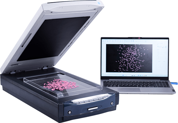 Rice Processing Precision Tester