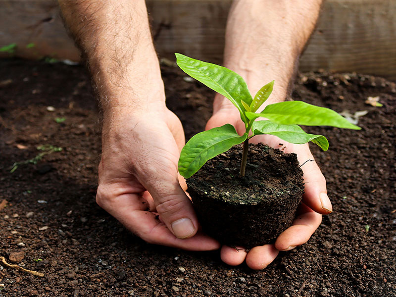 Lanende Soil Nutrient Detector Helps Agricultural Entities Across Regions Achieve Scientific Cultivation